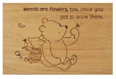 Day 2,151 Of Domestic Violence – Weeds Are Flowers Too, Once You Get To Know&nbsp;Them.